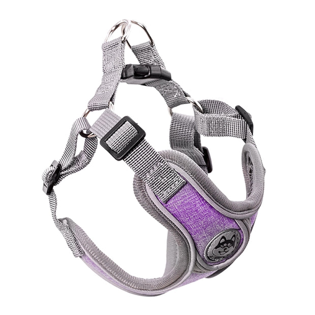 Dog Vest Reflective Collar - Up|Scale Essentials