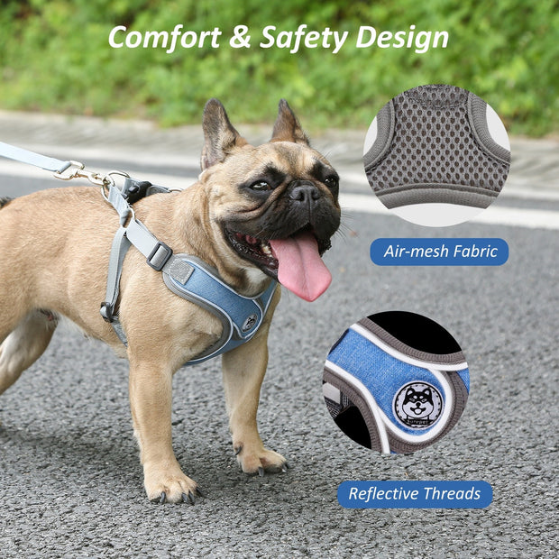 Dog Vest Reflective Collar - Up|Scale Essentials