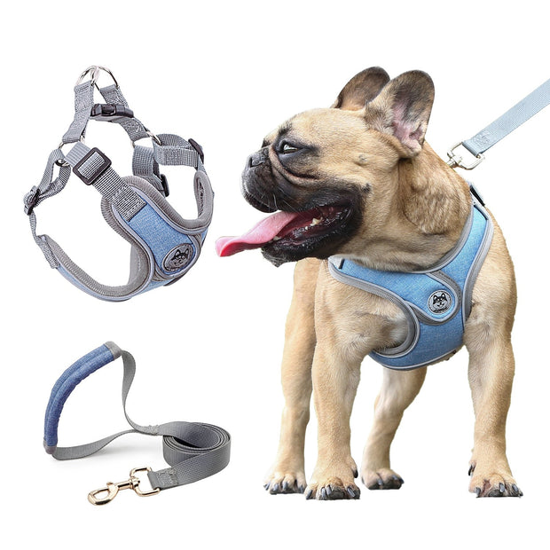 Dog Vest Reflective Collar - Up|Scale Essentials