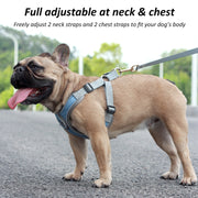 Dog Vest Reflective Collar - Up|Scale Essentials