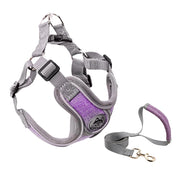 Dog Vest Reflective Collar - Up|Scale Essentials